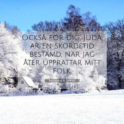 Picture 07 - Hosea 6:11 SV1917 - Också för dig, Juda, är en skördetid - Bible Verse Picture