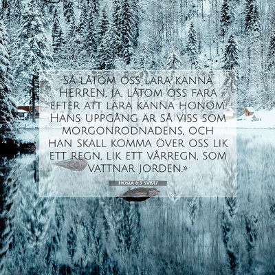 Picture 07 - Hosea 6:3 SV1917 - Så låtom oss lära känna HERREN, ja, låtom - Bible Verse Picture
