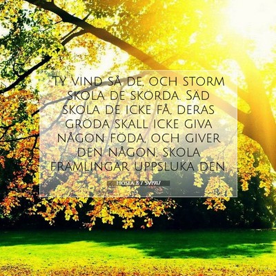 Picture 07 - Hosea 8:7 SV1917 - Ty vind så de, och storm skola de skörda. Säd - Bible Verse Picture