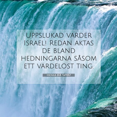 Picture 07 - Hosea 8:8 SV1917 - Uppslukad varder Israel! Redan aktas de bland - Bible Verse Picture