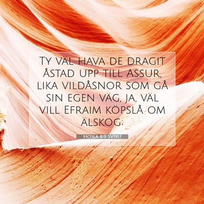 Picture 07 - Hosea 8:9 SV1917 - Ty väl hava de dragit åstad upp till Assur, - Bible Verse Picture