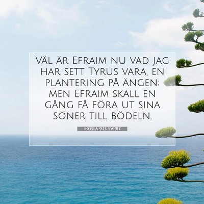 Picture 07 - Hosea 9:13 SV1917 - Väl är Efraim nu vad jag har sett Tyrus vara, - Bible Verse Picture
