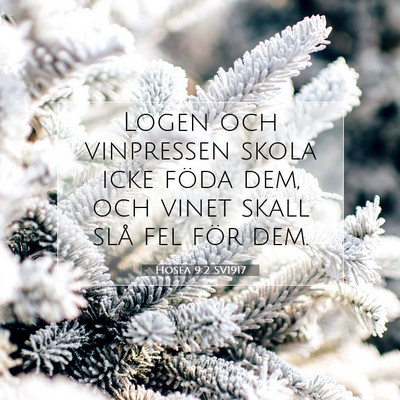 Picture 07 - Hosea 9:2 SV1917 - Logen och vinpressen skola icke föda dem, och - Bible Verse Picture