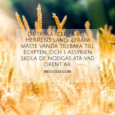 Picture 07 - Hosea 9:3 SV1917 - De skola icke få bo i HERRENS land; Efraim - Bible Verse Picture