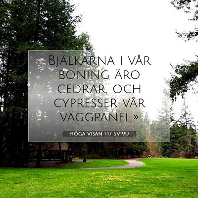Picture 07 - Höga Visan 1:17 SV1917 - Bjälkarna i vår boning äro cedrar, och - Bible Verse Picture