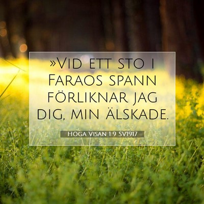 Picture 07 - Höga Visan 1:9 SV1917 - »Vid ett sto i Faraos spann förliknar jag dig, - Bible Verse Picture