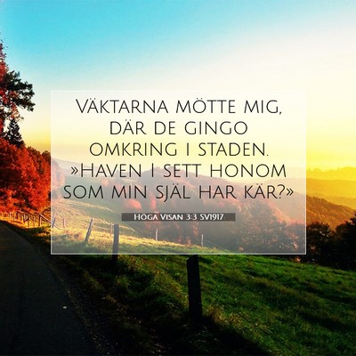 Picture 07 - Höga Visan 3:3 SV1917 - Väktarna mötte mig, där de gingo omkring i - Bible Verse Picture