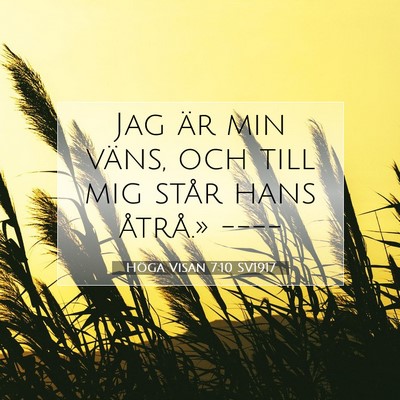 Picture 07 - Höga Visan 7:10 SV1917 - Jag är min väns, och till mig står hans - Bible Verse Picture