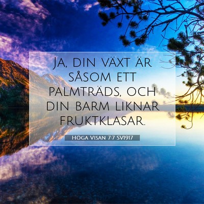 Picture 07 - Höga Visan 7:7 SV1917 - Ja, din växt är såsom ett palmträds, och din - Bible Verse Picture