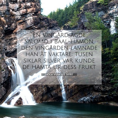 Picture 07 - Höga Visan 8:11 SV1917 - En vingård ägde Salomo i Baal-Hamon, den - Bible Verse Picture