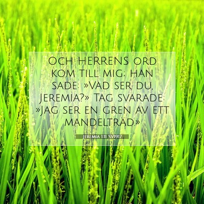 Picture 07 - Jeremia 1:11 SV1917 - Och HERRENS ord kom till mig; han sade: »Vad ser - Bible Verse Picture