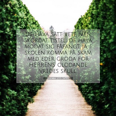 Picture 07 - Jeremia 12:13 SV1917 - De hava sått vete, men skördat tistel; de hava - Bible Verse Picture