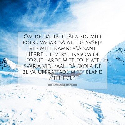Picture 07 - Jeremia 12:16 SV1917 - Om de då rätt lära sig mitt folks vägar, så - Bible Verse Picture