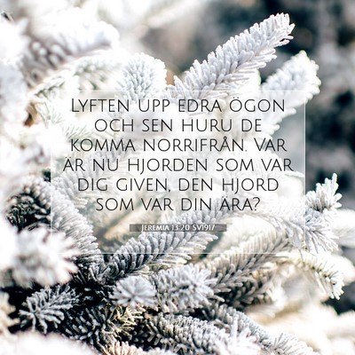Picture 07 - Jeremia 13:20 SV1917 - Lyften upp edra ögon och sen huru de komma - Bible Verse Picture