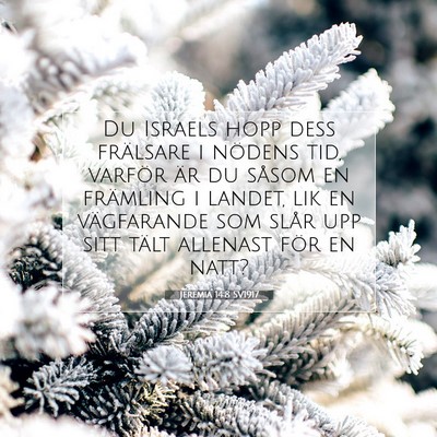 Picture 07 - Jeremia 14:8 SV1917 - Du Israels hopp dess frälsare i nödens tid, - Bible Verse Picture
