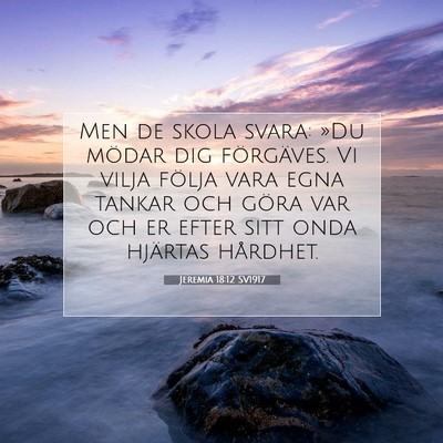 Picture 07 - Jeremia 18:12 SV1917 - Men de skola svara: »Du mödar dig förgäves. - Bible Verse Picture