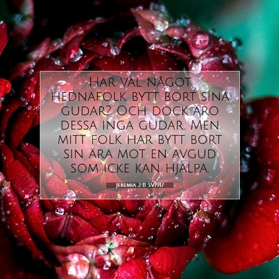 Picture 07 - Jeremia 2:11 SV1917 - Har väl något hednafolk bytt bort sina gudar? - Bible Verse Picture