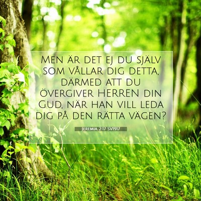 Picture 07 - Jeremia 2:17 SV1917 - Men är det ej du själv som vållar dig detta, - Bible Verse Picture