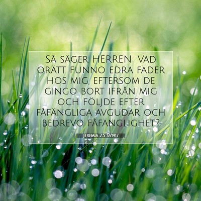 Picture 07 - Jeremia 2:5 SV1917 - Så säger HERREN: Vad orätt funno edra fäder - Bible Verse Picture
