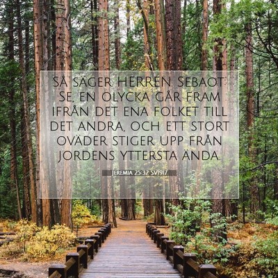 Picture 07 - Jeremia 25:32 SV1917 - Så säger HERREN Sebaot: Se, en olycka går fram - Bible Verse Picture