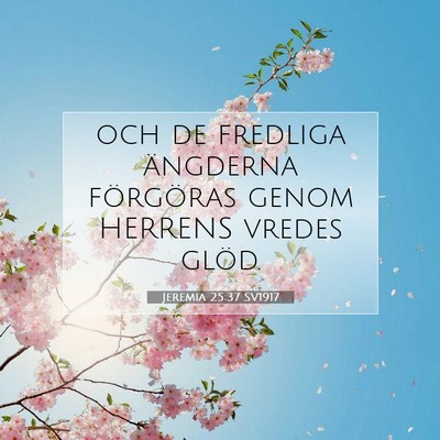 Picture 07 - Jeremia 25:37 SV1917 - och de fredliga ängderna förgöras genom - Bible Verse Picture