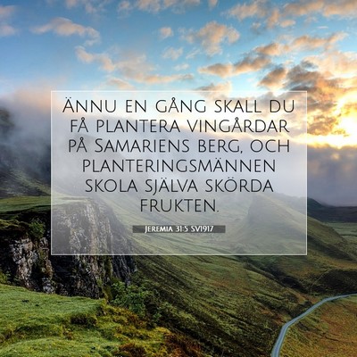 Picture 07 - Jeremia 31:5 SV1917 - Ännu en gång skall du få plantera vingårdar - Bible Verse Picture
