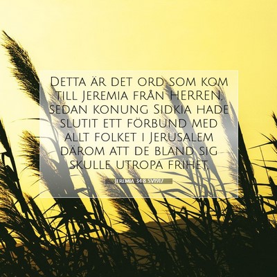 Picture 07 - Jeremia 34:8 SV1917 - Detta är det ord som kom till Jeremia från - Bible Verse Picture