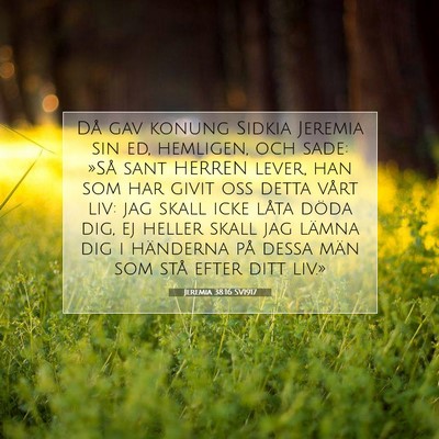Picture 07 - Jeremia 38:16 SV1917 - Då gav konung Sidkia Jeremia sin ed, hemligen, - Bible Verse Picture