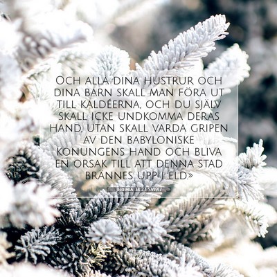 Picture 07 - Jeremia 38:23 SV1917 - Och alla dina hustrur och dina barn skall man - Bible Verse Picture