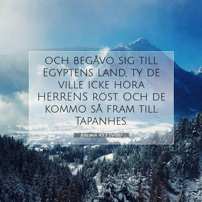 Picture 07 - Jeremia 43:7 SV1917 - och begåvo sig till Egyptens land, ty de ville - Bible Verse Picture