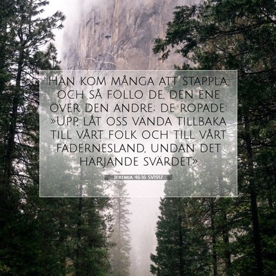 Picture 07 - Jeremia 46:16 SV1917 - Han kom många att stappla, och så föllo de, - Bible Verse Picture
