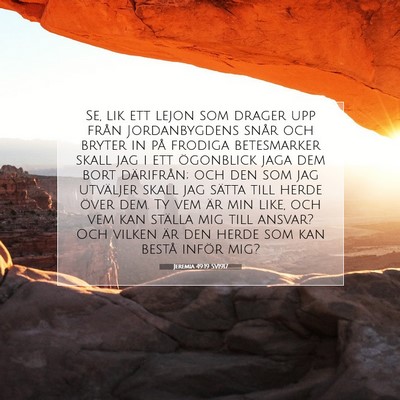 Picture 07 - Jeremia 49:19 SV1917 - Se, lik ett lejon som drager upp från - Bible Verse Picture
