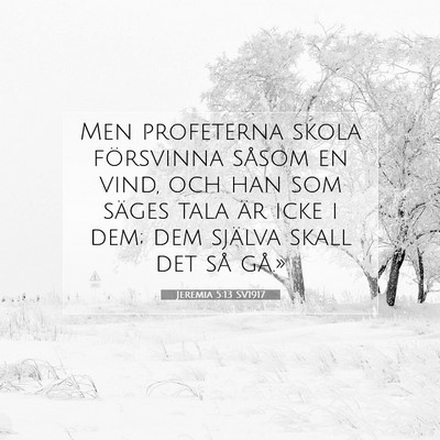 Picture 07 - Jeremia 5:13 SV1917 - Men profeterna skola försvinna såsom en vind, - Bible Verse Picture