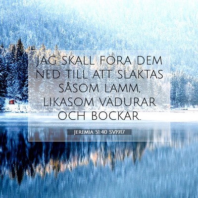Picture 07 - Jeremia 51:40 SV1917 - Jag skall föra dem ned till att slaktas såsom - Bible Verse Picture