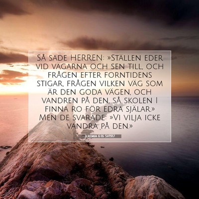 Picture 07 - Jeremia 6:16 SV1917 - Så sade HERREN: »Ställen eder vid vägarna och - Bible Verse Picture