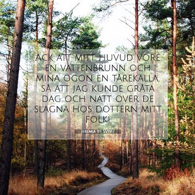 Picture 07 - Jeremia 9:1 SV1917 - Ack att mitt huvud vore en vattenbrunn och mina - Bible Verse Picture