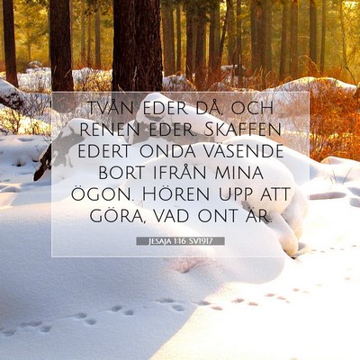 Picture 07 - Jesaja 1:16 SV1917 - tvån eder då, och renen eder. Skaffen edert - Bible Verse Picture