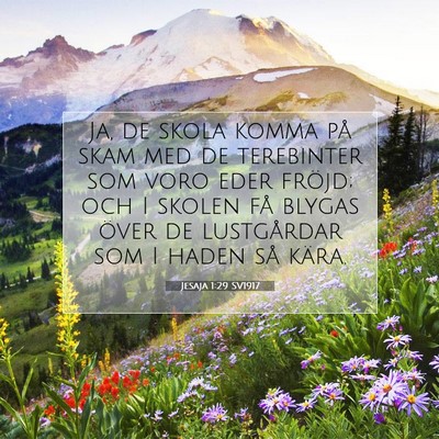 Picture 07 - Jesaja 1:29 SV1917 - Ja, de skola komma på skam med de terebinter som - Bible Verse Picture