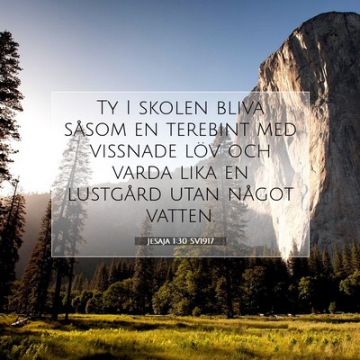 Picture 07 - Jesaja 1:30 SV1917 - Ty I skolen bliva såsom en terebint med vissnade - Bible Verse Picture
