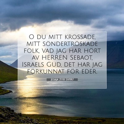 Picture 07 - Jesaja 21:10 SV1917 - O du mitt krossade, mitt söndertröskade folk, - Bible Verse Picture