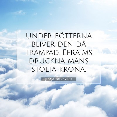 Picture 07 - Jesaja 28:3 SV1917 - Under fötterna bliver den då trampad, Efraims - Bible Verse Picture