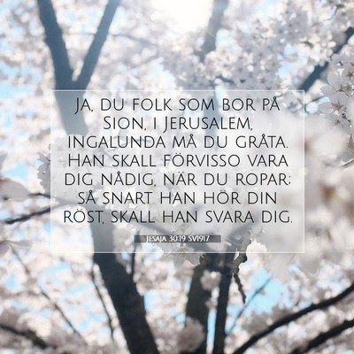 Picture 07 - Jesaja 30:19 SV1917 - Ja, du folk som bor på Sion, i Jerusalem, - Bible Verse Picture