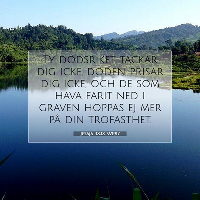 Picture 07 - Jesaja 38:18 SV1917 - Ty dödsriket tackar dig icke, döden prisar dig - Bible Verse Picture