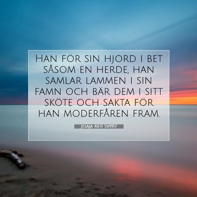 Picture 07 - Jesaja 40:11 SV1917 - Han för sin hjord i bet såsom en herde, han - Bible Verse Picture