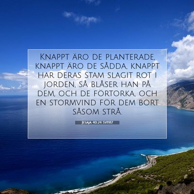 Picture 07 - Jesaja 40:24 SV1917 - Knappt äro de planterade, knappt äro de sådda, - Bible Verse Picture