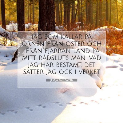 Picture 07 - Jesaja 46:11 SV1917 - jag som kallar på örnen från öster och ifrån - Bible Verse Picture