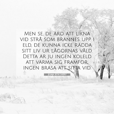 Picture 07 - Jesaja 47:14 SV1917 - Men se, de äro att likna vid strå som brännes - Bible Verse Picture