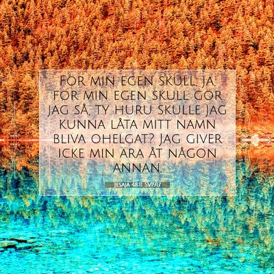 Picture 07 - Jesaja 48:11 SV1917 - För min egen skull, ja, för min egen skull gör - Bible Verse Picture