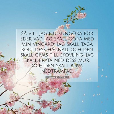 Picture 07 - Jesaja 5:5 SV1917 - Så vill jag nu kungöra för eder vad jag skall - Bible Verse Picture