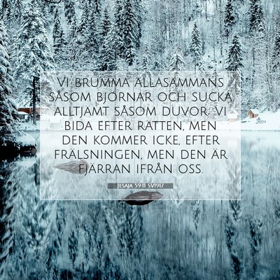 Picture 07 - Jesaja 59:11 SV1917 - Vi brumma allasammans såsom björnar och sucka - Bible Verse Picture